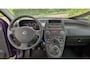 Fiat Panda 1.2 Edizione Cool