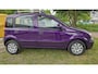 Fiat Panda 1.2 Edizione Cool