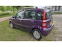 Fiat Panda 1.2 Edizione Cool