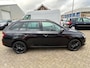 Skoda Fabia Combi 1.0 Business Edition
