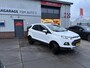 Ford EcoSport 1.0 EcoBoost Titanium