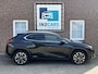 Lexus UX 250h Business Line *Stoel- en stuurwielverwarming*