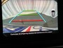 Citroën C3 SHINE Autom.110pk Navi+Carplay | Trekhaak | lichtmetaal