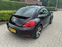 Volkswagen Beetle 1.2 TSI Design BlueMotion xenon, pano, cruise, stoelverw