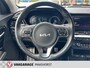 Kia e-Niro DynamicPlusLine 64 kWh AchteruitrijCam./Adapt.Cruise/KeylessEntry&Go/LaneAss./PDC/LED/DAB/Clima/Airco/AppConnect