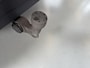 Polestar 2 Long Range Dual Motor Launch Edition 78kWh Dealer onderhouden/trekhaak