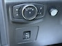 Ford F-150 USA 3.5 V6 Ecoboost Platinum NL-Auto
