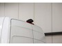 Mercedes-Benz Sprinter 316 2.2 CDI L2H2 AUTOMAAT 3500KG TREKVERMOGEN