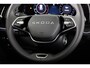 Skoda Kodiaq Business Edition m-HEV 1.5 TSI 150pk 7 versn. DSG | Trekhaak | Comfort Pakket | Dynamic Chassis Control | Winter Pakket | Parkeer pakket | 18 inch lichtmetalen velgen | Ligh & View