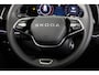 Skoda Kodiaq Business Edition m-HEV 1.5 TSI 150pk 7 versn. DSG | Trekhaak | Comfort Pakket | Dynamic Chassis Control | Winter Pakket | Parkeer pakket | 18 inch lichtmetalen velgen | Ligh & View