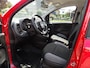 Fiat Panda 1.0 Hybrid City / Rijklaarprijs