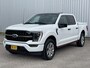 Ford F-150 3.5 V6 Platinum Crew Cab Technology