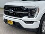 Ford F-150 3.5 V6 Platinum Crew Cab Technology
