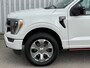 Ford F-150 3.5 V6 Platinum Crew Cab Technology
