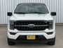 Ford F-150 3.5 V6 Platinum Crew Cab Technology