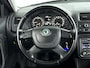 Skoda Fabia Combi TDI Greenline | Trekhaak
