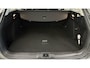 Ford Focus Wagon 1.0 EcoBoost Active NAVI CARPLAY LED CRUISE ECC.