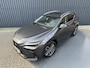Lexus NX 450h+ AWD Executive / President | Schuif-/kanteldak | Sonic grey | 360 camera | Head-up | Rijklaar!!