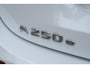 Mercedes-Benz A-klasse 250 e Luxury Line