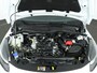 Ford Fiesta 125pk ST-Line EcoBoost Hybrid | All Season banden | Cruise | Apple carplay | Android auto | Parkeersens. achter |
