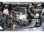 Ford EcoSport 1.0 EcoBoost Titanium org. NL-auto h.leer camera afn.trekhaak