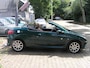 Peugeot 206 CC 2.0-16V Roland Garros nap airco apk nieuwe apk