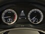 Skoda Karoq 1.0 TSI BUSINESS EDITION NAVIGATIE CRUISE CONTROL CLIMATE CONTROL APPLE CARPLAY/ANDROID KEYLESS GO STOELVERWARMING ACHTERUITRIJCAMERA ZEER MOOI !! Brgl