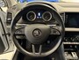 Skoda Karoq 1.5 TSI ACT St. Business ( Parkeercamera / Navi / Canton audio )