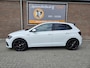 Volkswagen Polo 2.0 TSI GTI