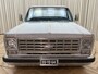 Chevrolet C10 LS Engine / Automatic / Zeer snel / Project / 1976 / NL kenteken