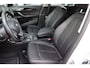 BMW X1 SDrive20i VDL Nedcar Edition org.NL leer+verw Head-up el.klep parelmoer