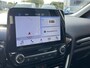 Ford Fiesta 1.0 EcoBoost Titanium Apple Carplay/Nav/Climate Control