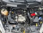 Ford Fiesta 1.0 EcoBoost 5 deurs Titanium VAN 2e EIGENAAR