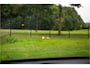 BMW X2 sDrive20i Business Edition , M-pakket, Panoramadak, Head-up display, BMW-Led