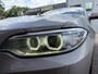 BMW 2-Serie Coupé 220i Executive | AUTOMAAT | PANO | NAVI | PDC | TREKHAAK |