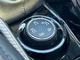 Peugeot 2008 1.6 VTi Féline l Panoramadak l Navigatie l Cruise l Half Leder