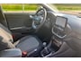 Ford Puma 1.0 EcoBoost 125PK Hybrid Titanium X First Edition | Panorama dak