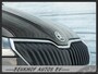 Skoda Fabia Combi 1.0 TSI Business Edition Carplay Velgen