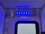 Opel Movano 2.3 CDTI L3 Paardenvrachtwagen Luchtvering/Camera/Airco