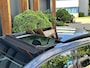 Volkswagen Golf 1.0 TSI Comfortline Business Pano Camera etc.
