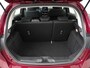 Ford Fiesta 1.0 EcoBoost Active | Schuifdak | Zondag Open!