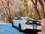 Ford Mustang Fastback 5.2i V8 Shelby GT350 526PK Heritage Edition MagneRide Recaro
