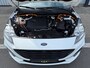 Ford Kuga 2.5 PHEV ST-Line X AUT PDC/CAM/LM18/LEER/NAVI/PANO