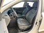 Kia Niro 1.6 GDi PHEV ExecutiveLine I Schuifdak I Leder I HarmanKardon