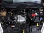 Ford Fiesta 1.0 EcoBoost Titanium *Navigatie*Klimaatreg.*Cruisecontr.*