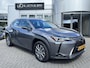 Lexus UX 300e Business 54 kWh NL-AUTO EL-STOELEN CARPLAY/ANDROID AUTO DAB+