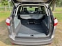 Ford Grand C-Max 1.0 EB 125PK Titanium | DEALER ONDERHOUDEN | PANO DAK | RIEM V.V. |