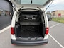 Volkswagen Caddy 1.4 TGI DSG Trendline BlueMotion CNG 5 persoons