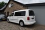 Volkswagen Caddy MAXI 1.0 TSI COMFORTLINE. 7p, Cruise, carplay
