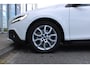 Volvo V40 Cross Country T3 Automaat Polar+ Luxury | Panoramadak | DAB | Cruise control | Verw. Voorstoelen | Camera